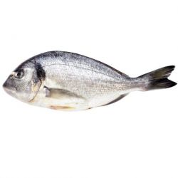 Риба Дорадо 300-400г  охолоджена (патрана)