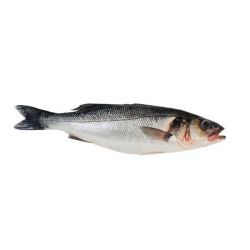 Риба Сібас  300-400г