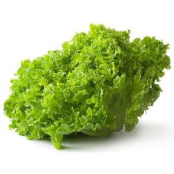 Салат зелений Лолло біонда