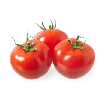 Помідор Туреччина